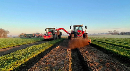 Tractors in field